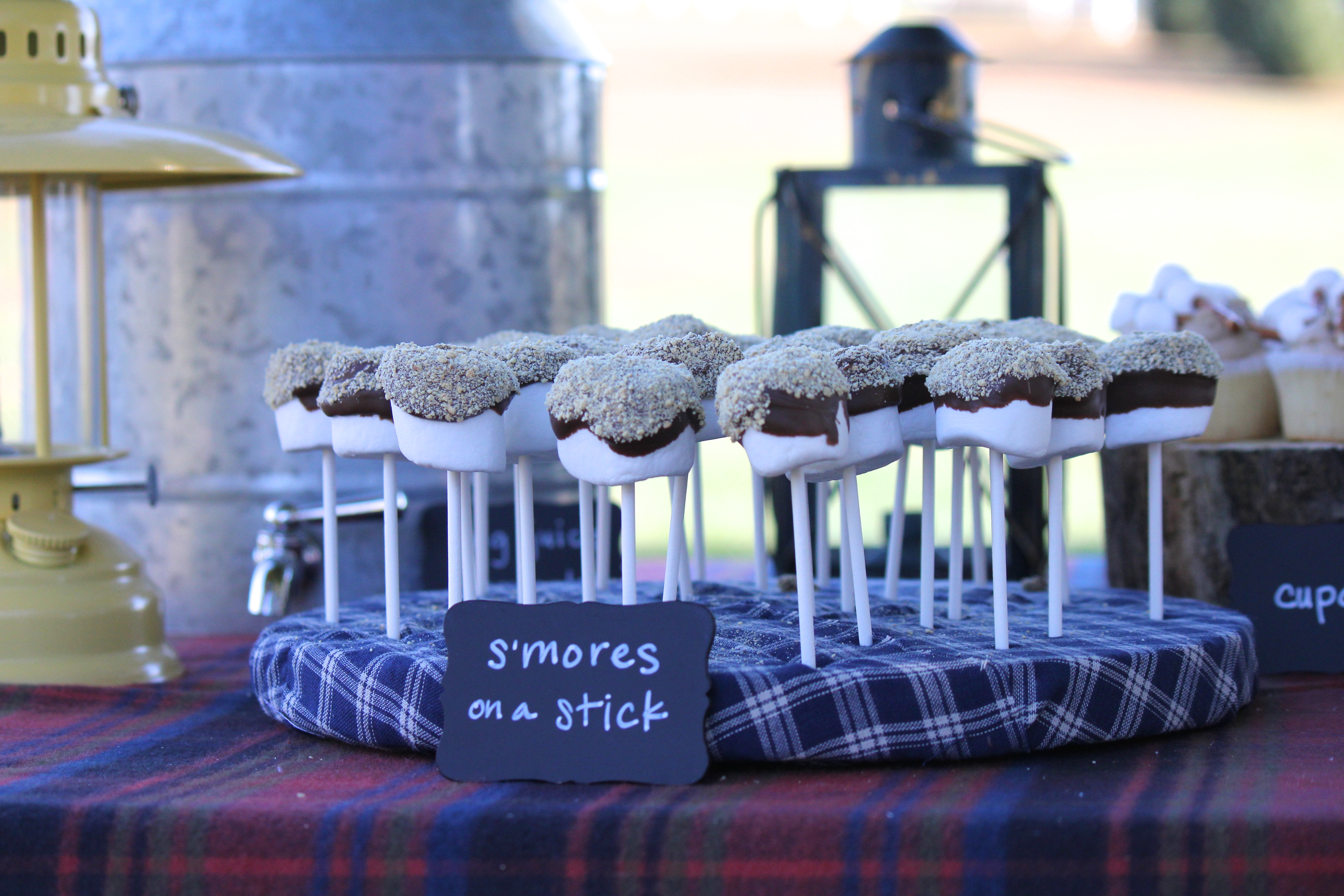 S'mores on a Stick for this Camping Themed 1st Birthday