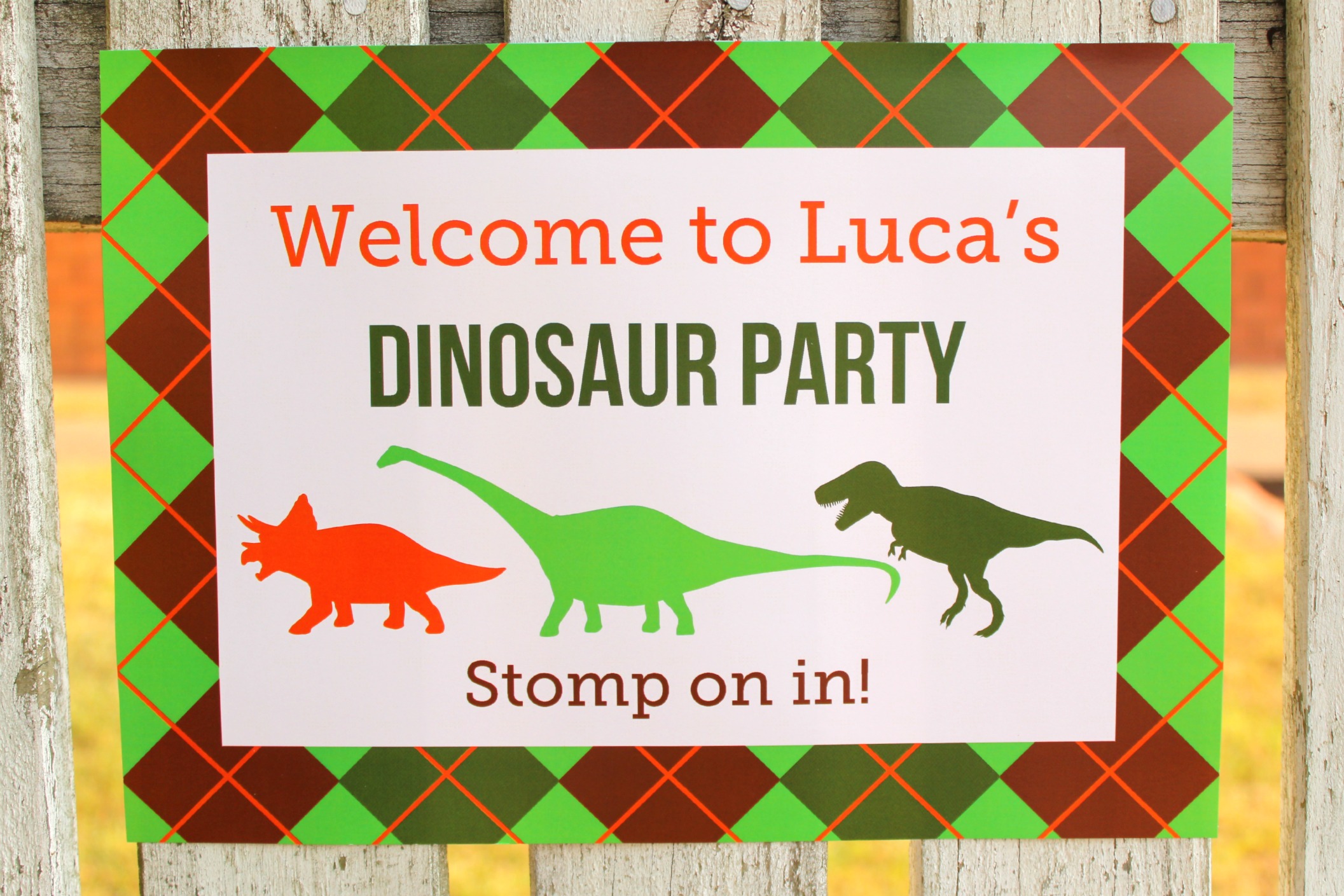 Dino-mite Dinosaur 3rd Birthday Party - Project Nursery