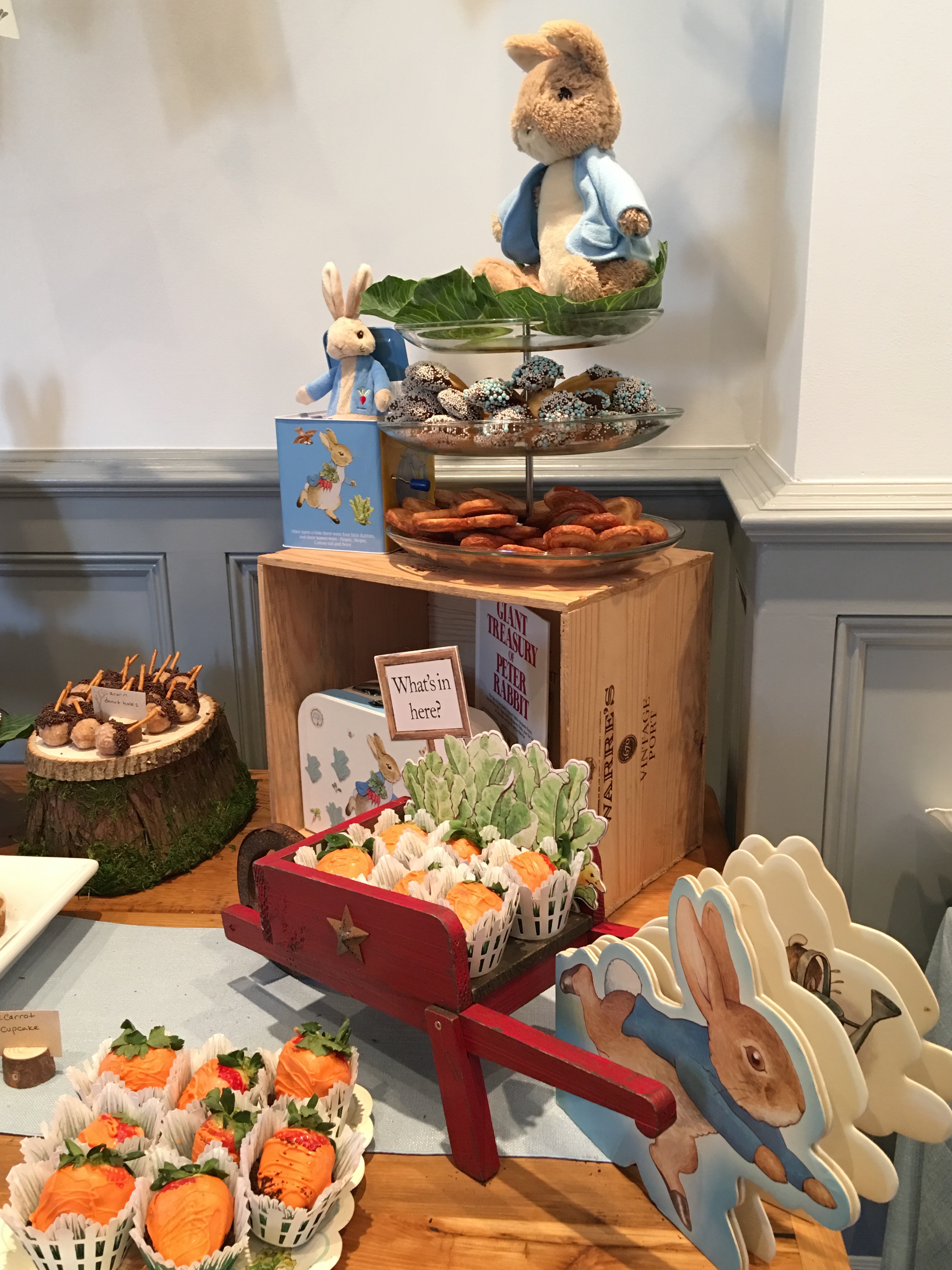 Peter Rabbit Theme Baby Shower Sign In Table and Favors - Daily