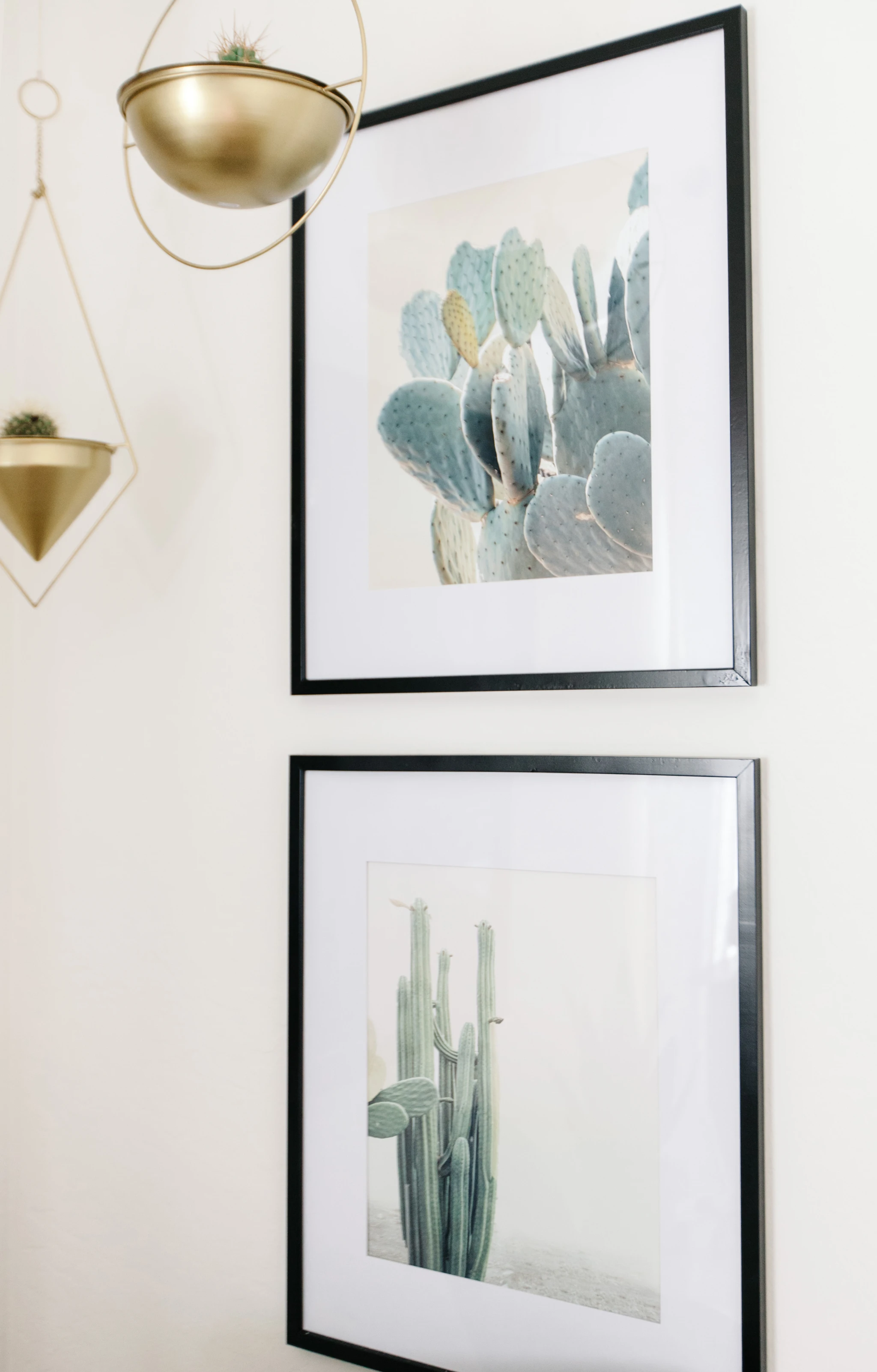 Cactus Prints Nursery Trend