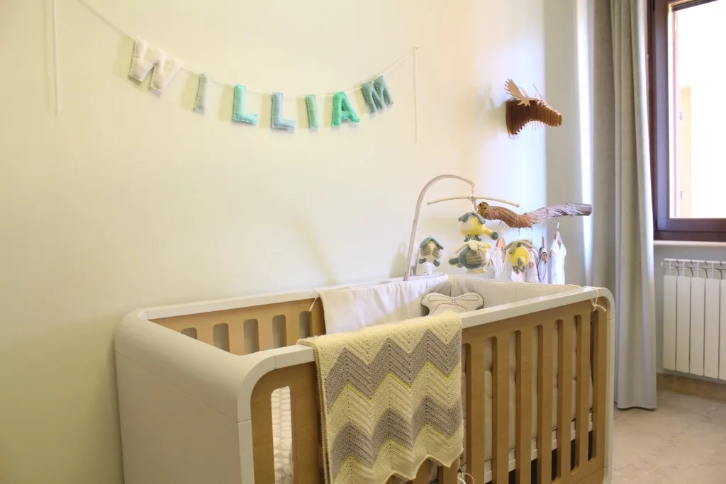 Nature-Themed Nursery with Modern Crib - Project Nursery