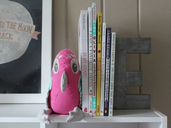 DIY Stuffed Animal Bookend