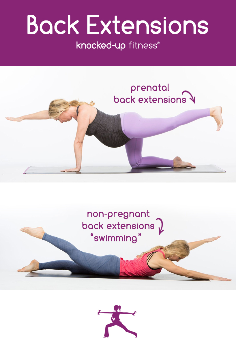 Back Extensions by Knocked-Up Fitness