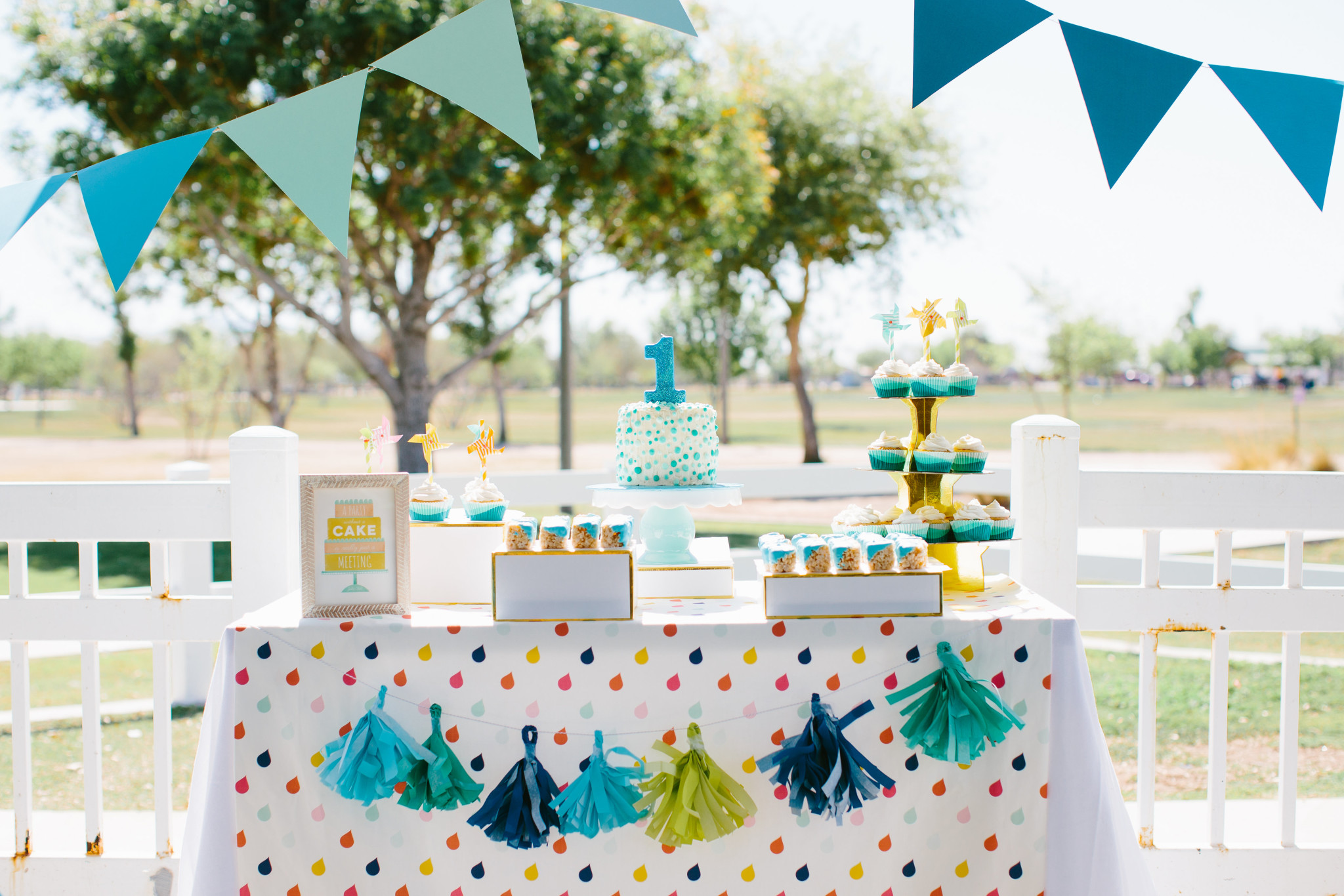 A First Birthday  Picnic in the Park Project Nursery