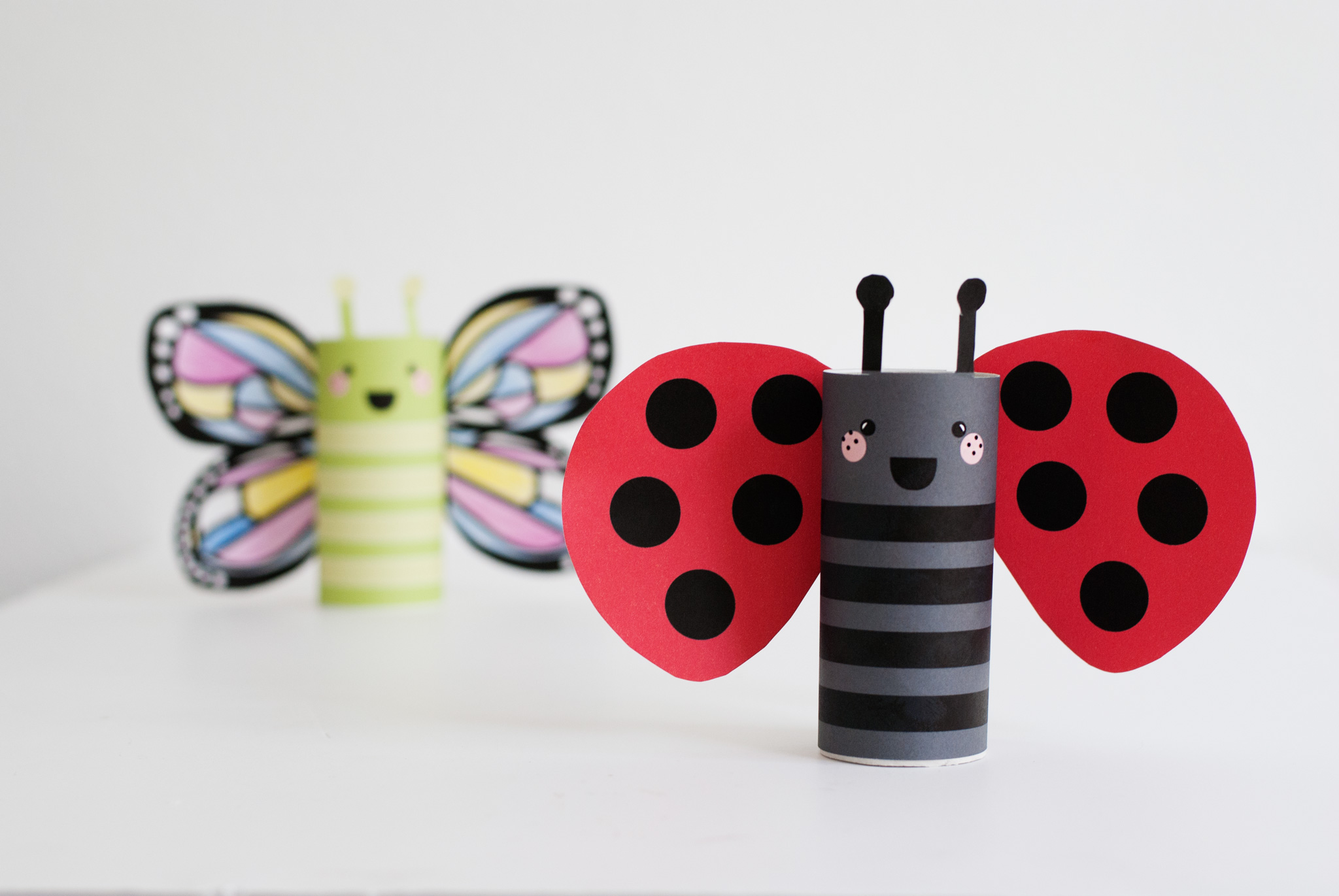 DIY Butterfly and Ladybug Kids Craft