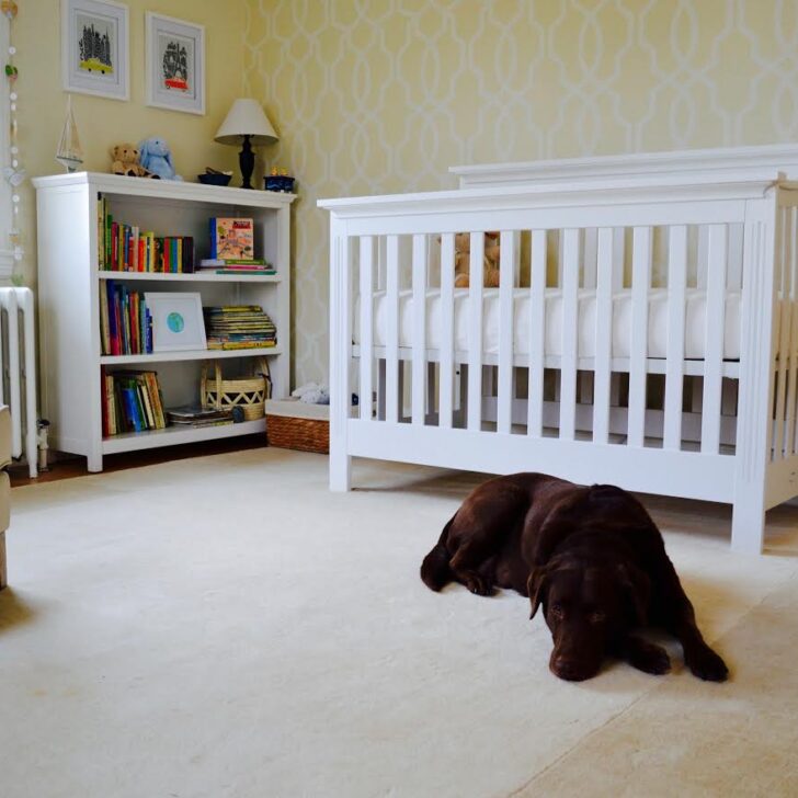 Neutral Nursery