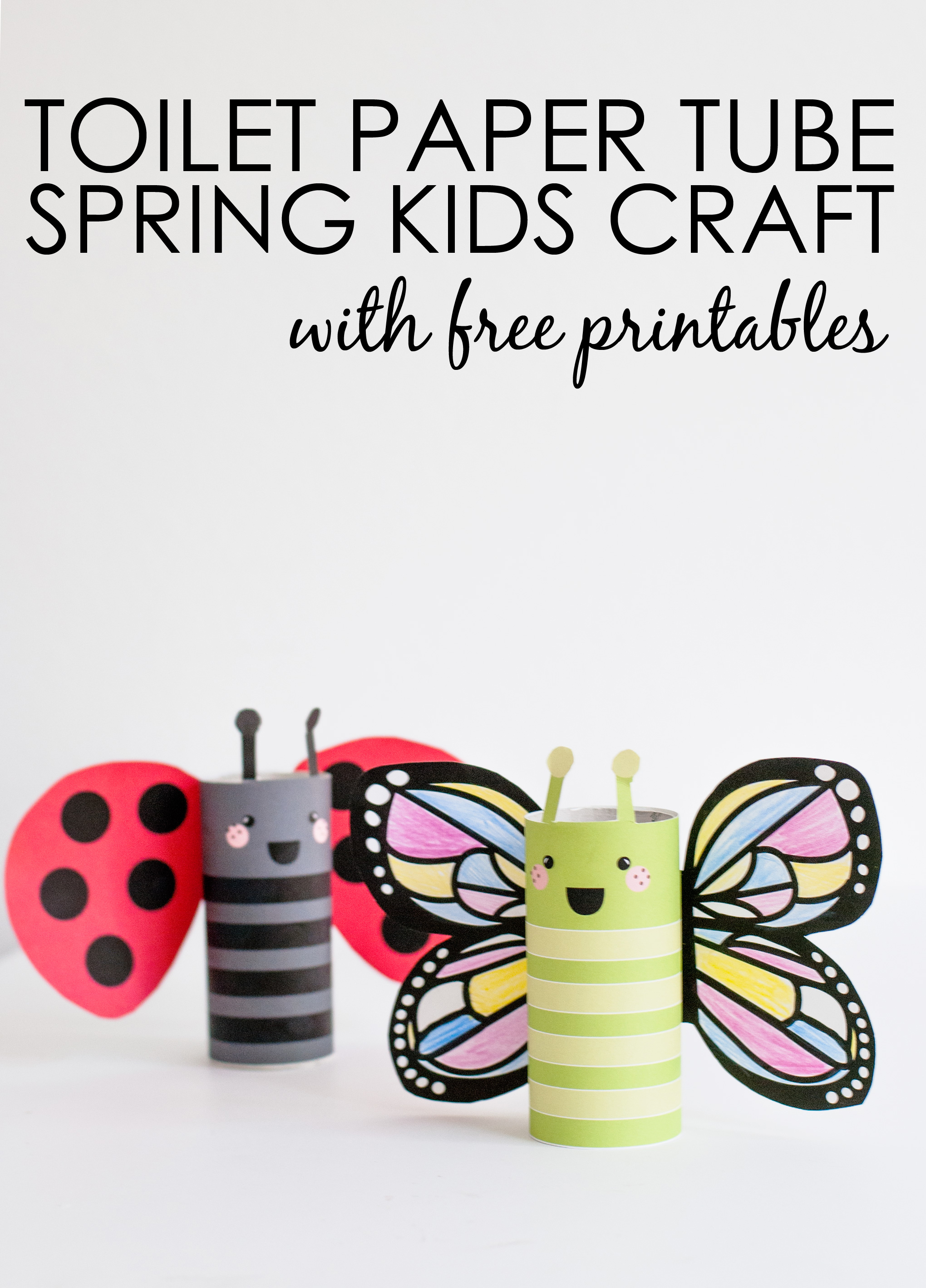 DIY Butterfly and Ladybug Kids Craft
