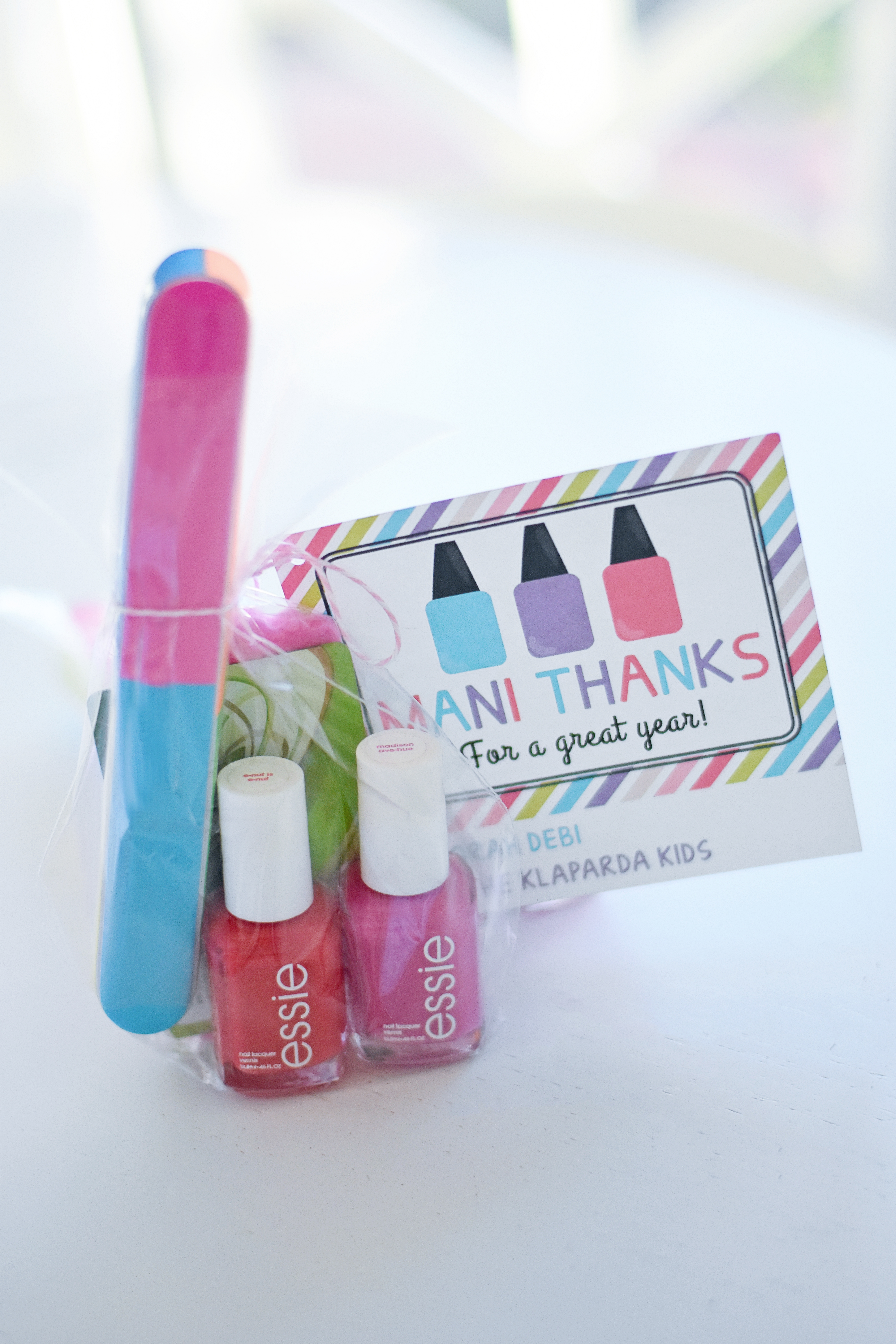 Manicure Teacher Gift