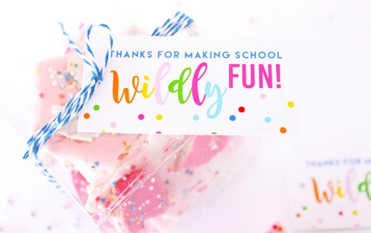 Teacher Appreciation Gift with Free Printable