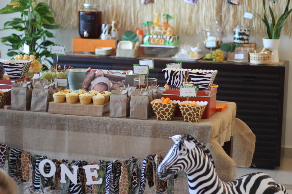 Safari Birthday Party