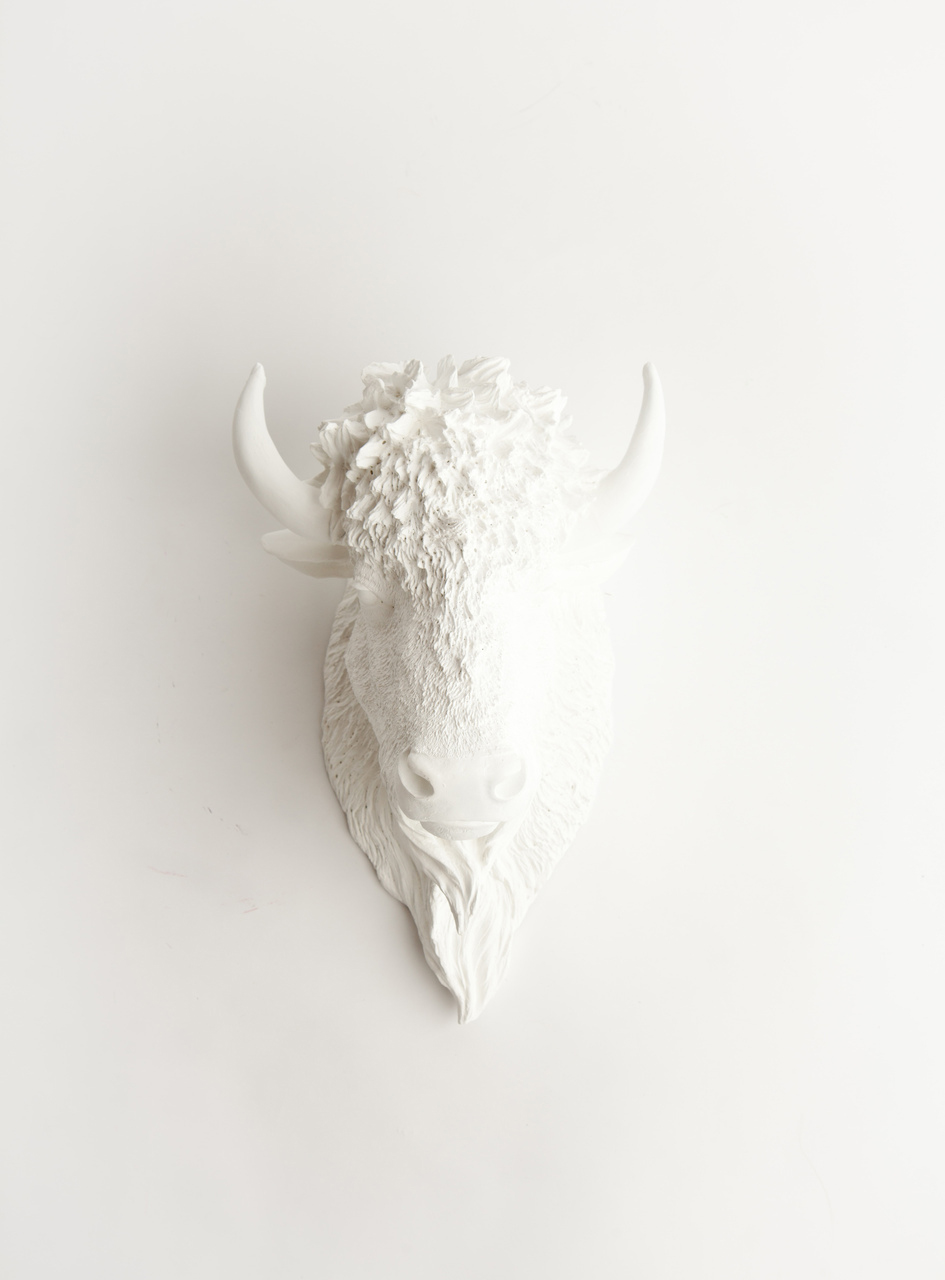 Bison Faux Taxidermy from White Faux Taxidermy