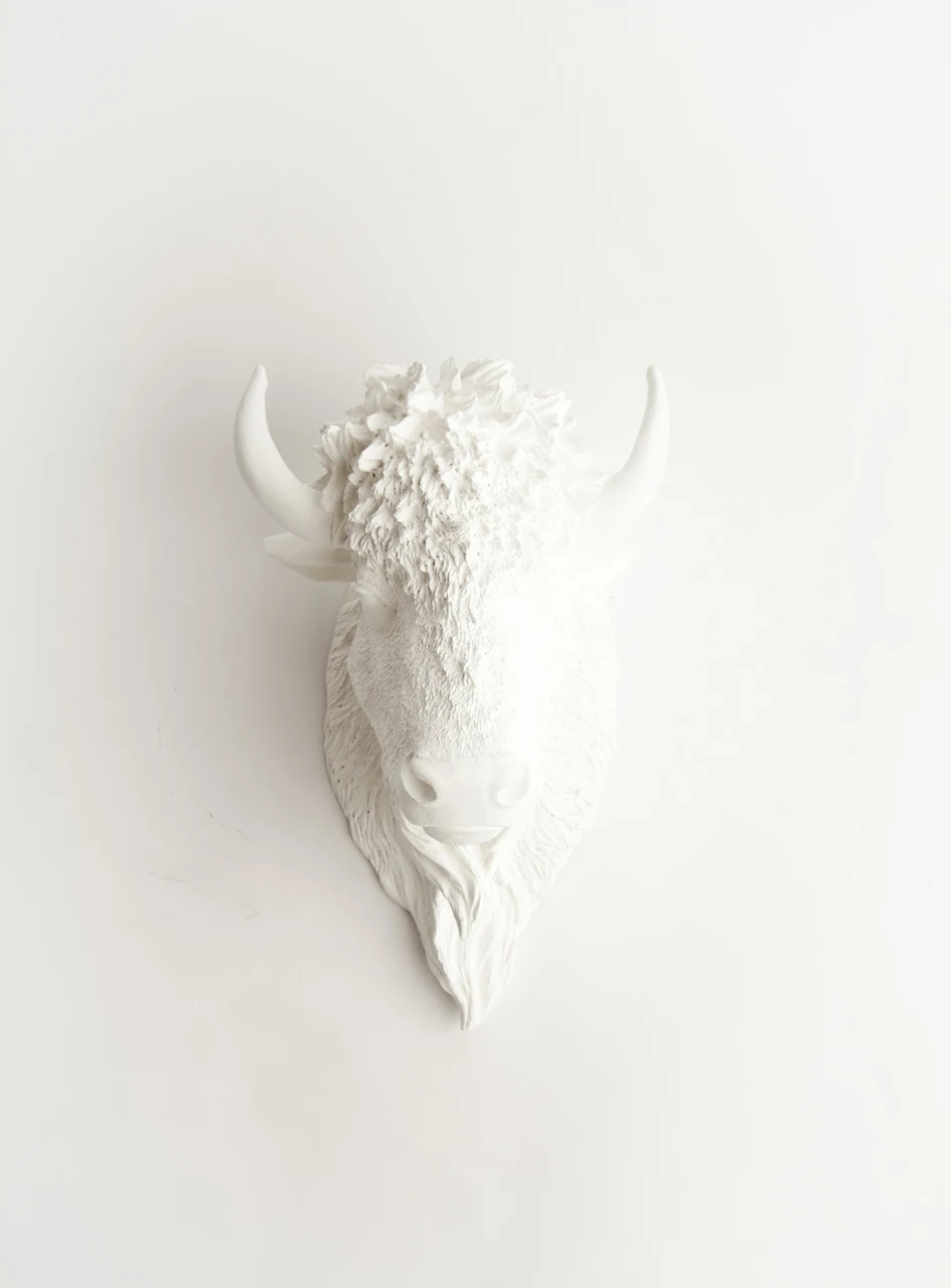 Bison Faux Taxidermy from White Faux Taxidermy