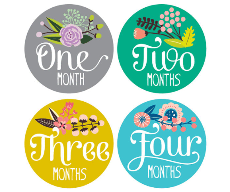Monthly Stickers from The Project Nursery Shop