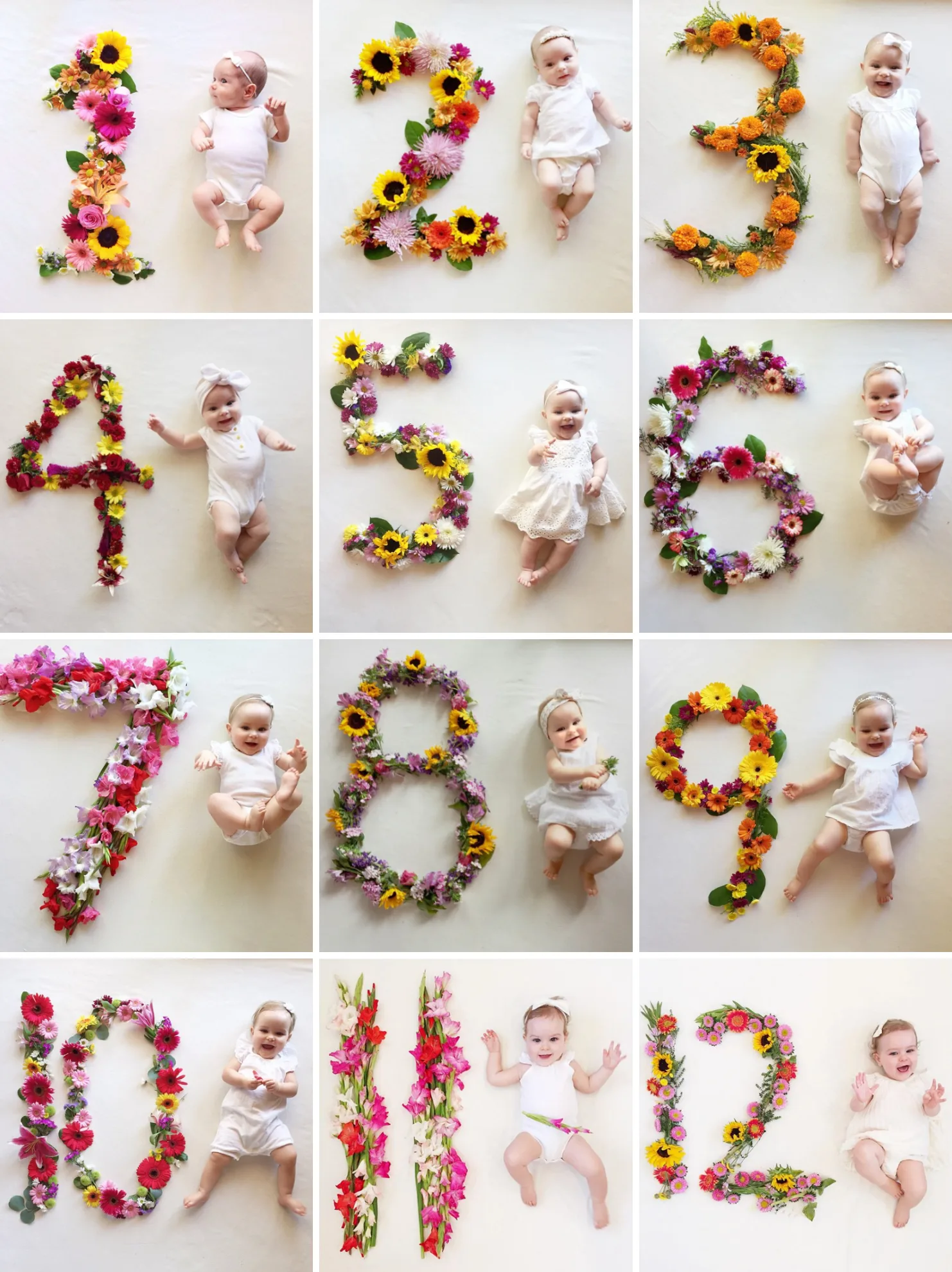 Flower Number Monthly Baby Photos by Lauren Bowyer