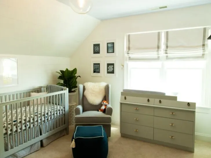 Gray and White Fox Nursery