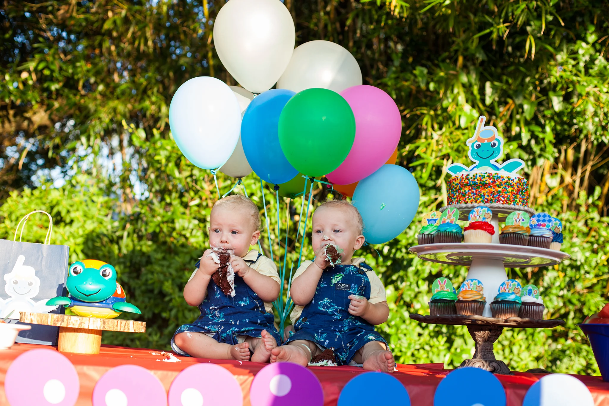 Baby Einstein Birthday Party