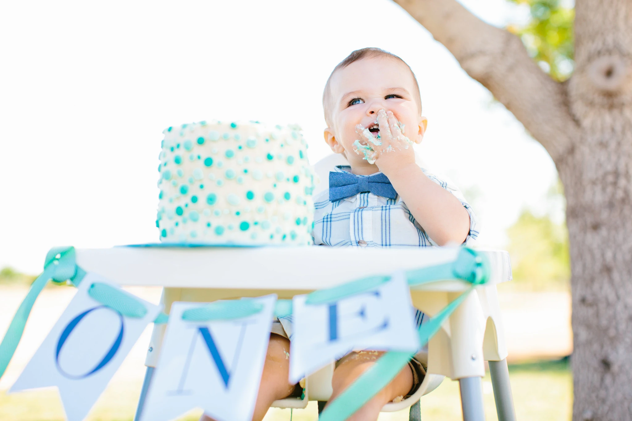 Picnic First Birthday Decorated High Chair and Smash Cake