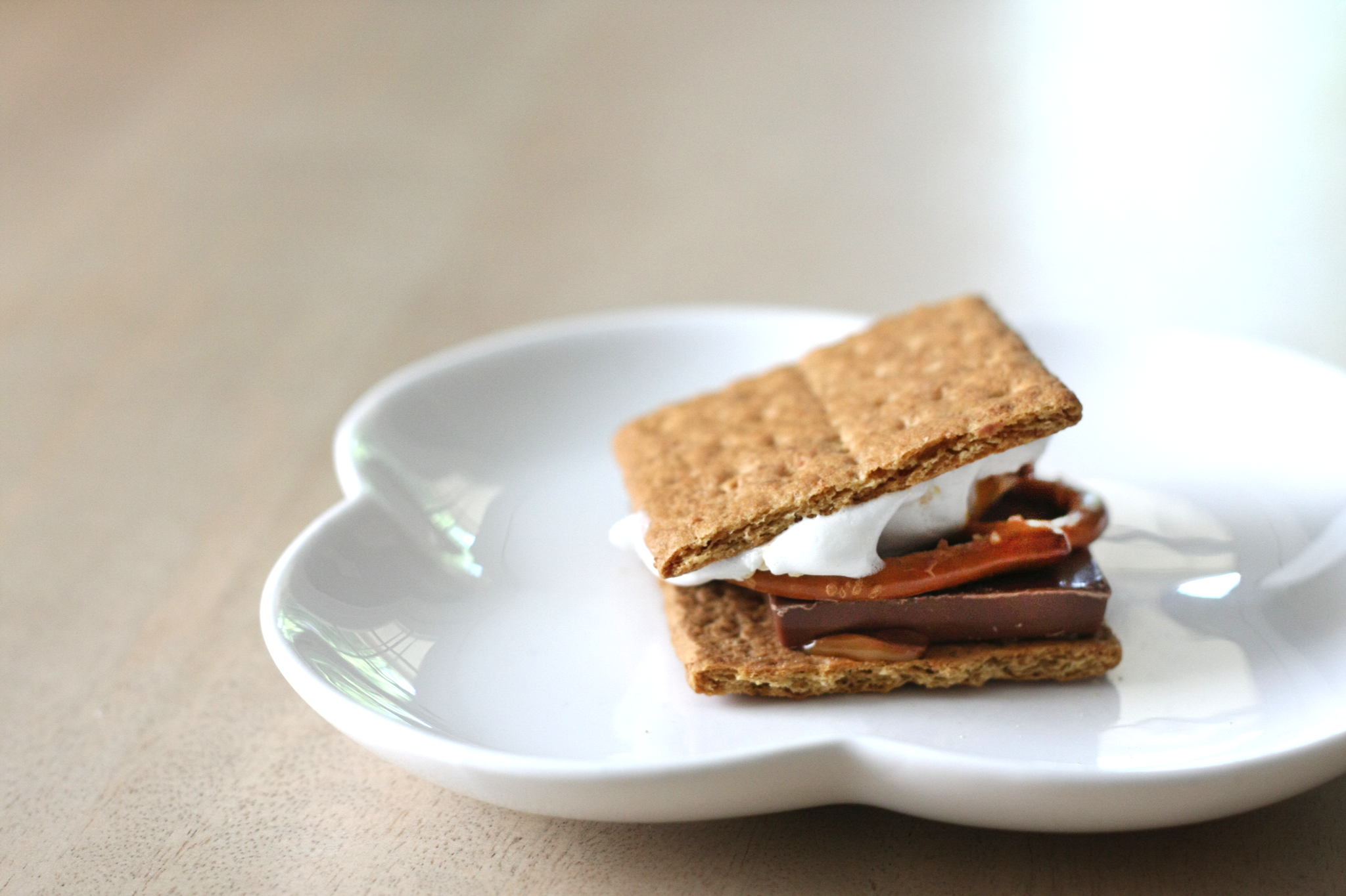 Salted Caramel Pretzel S'mores Recipe