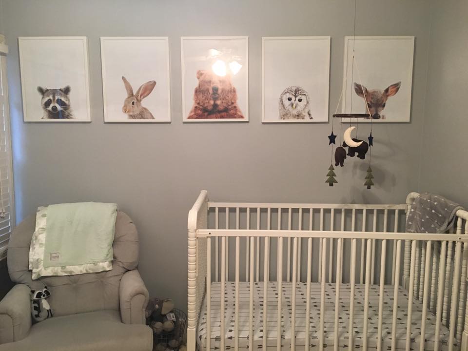 Baby Boy's Woodland Adventure Nursery