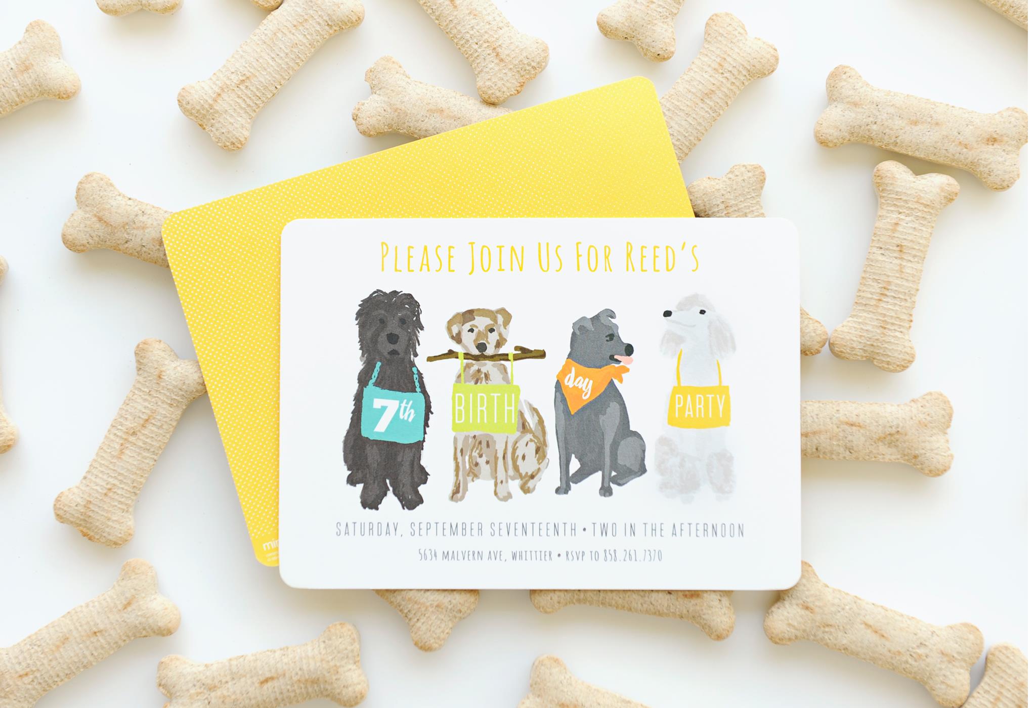 Puppy Themed Party Invitation