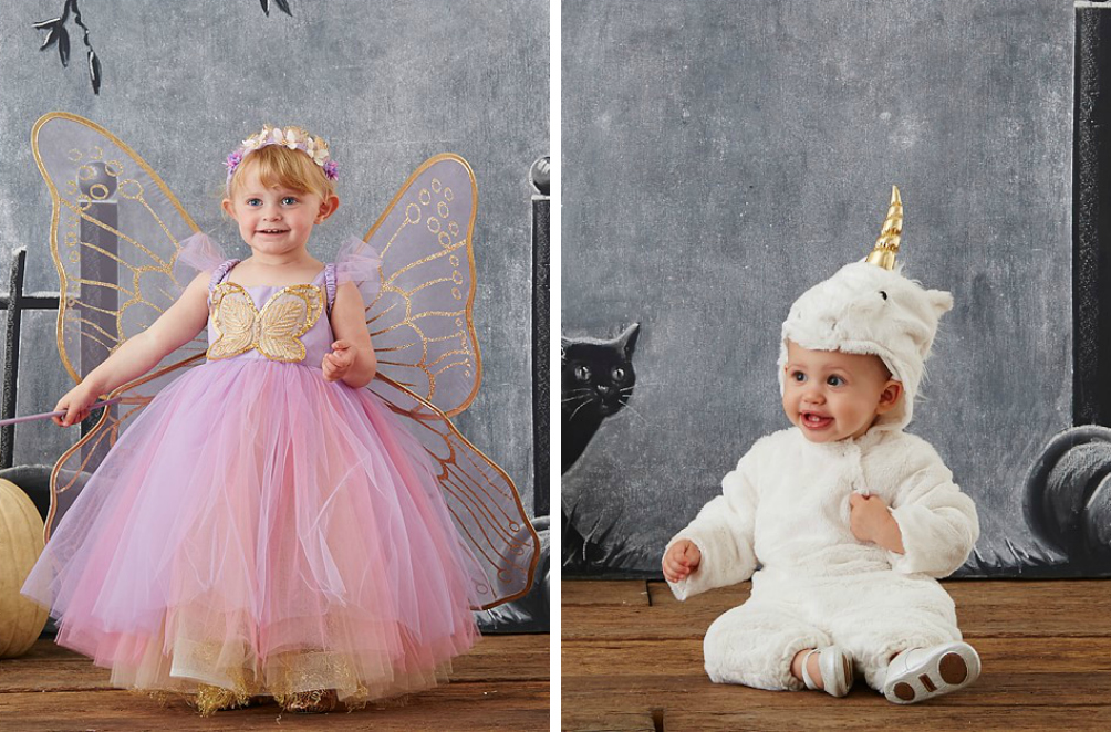 Fairy Costume and Unicorn Costume