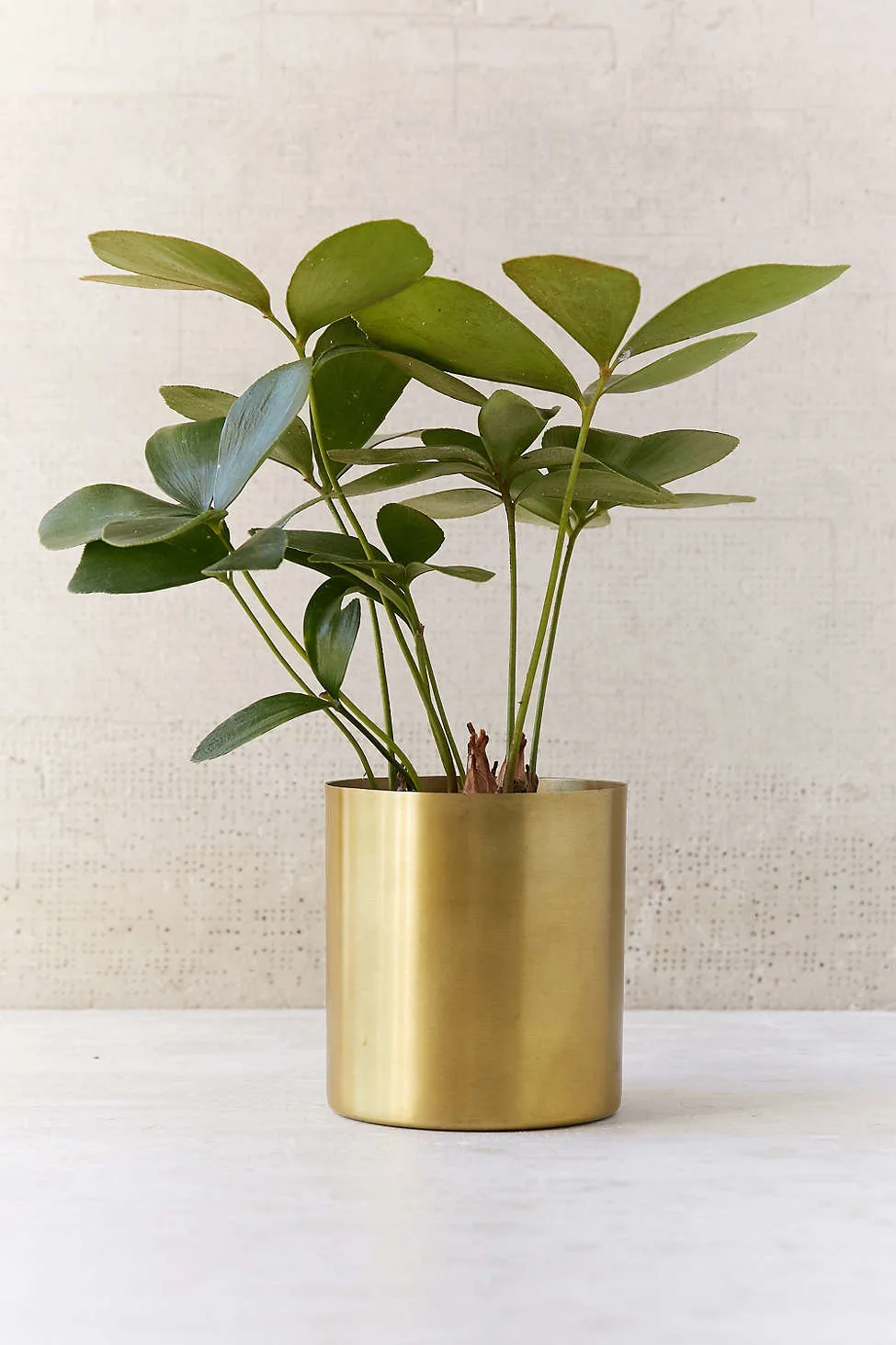 Small Mod Metal Planter from Urban Outfitters