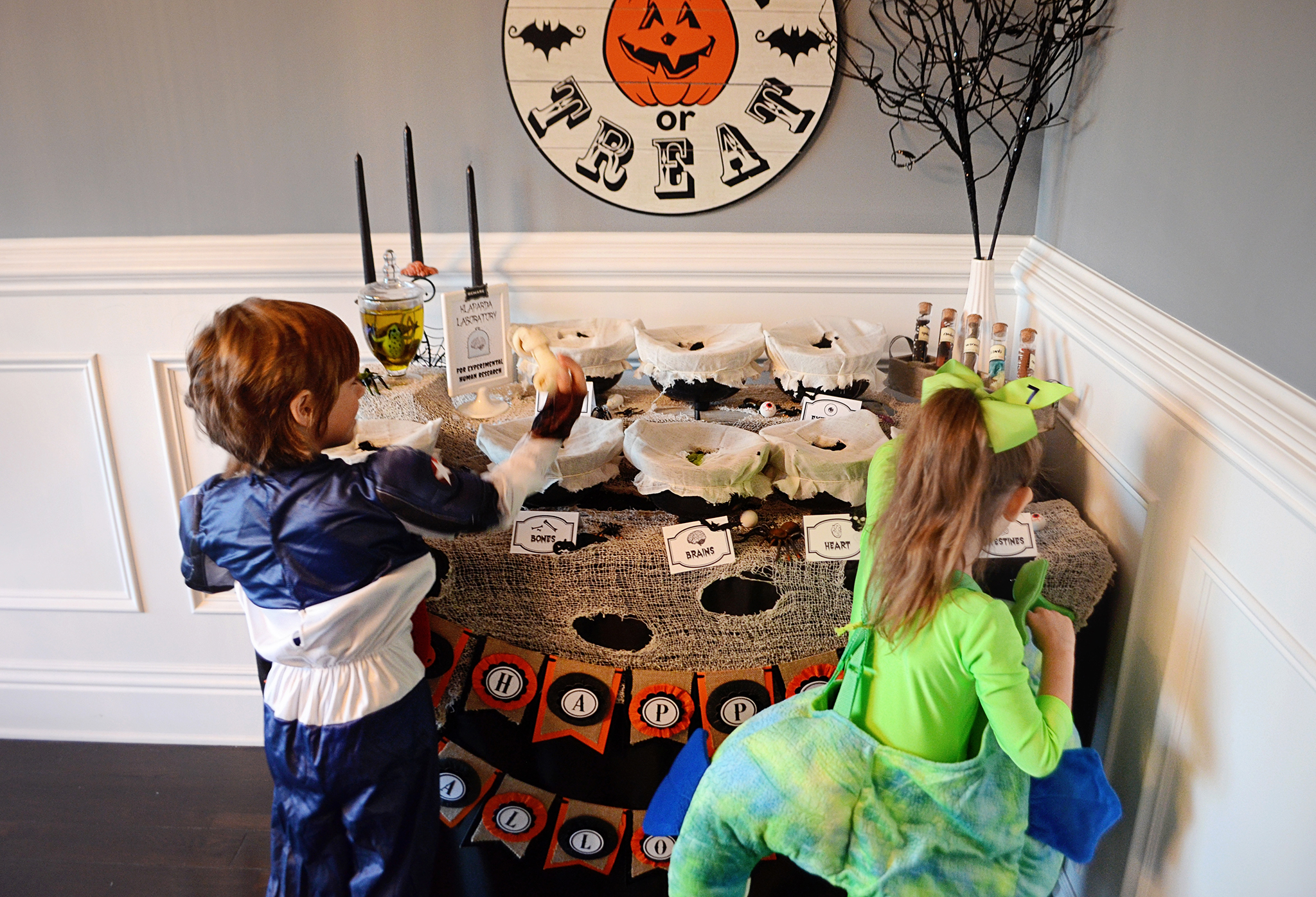 Have a creepy, crawly Happy Halloween "touch and feel" table!