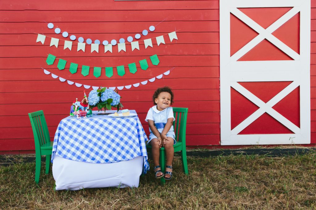 Barnyard Themed Birthday Party