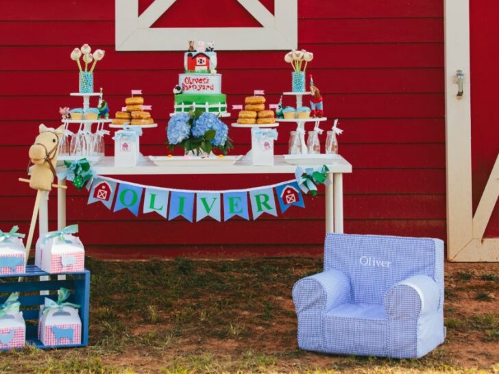 Barnyard-Themed Birthday Party - Project Nursery