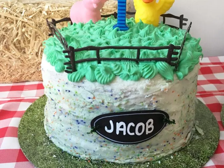 Barnyard Birthday Party Cake