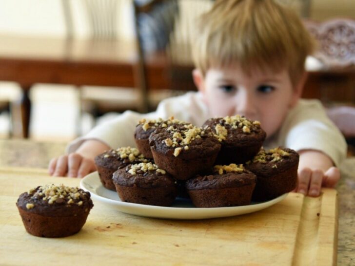 Chocolate Zucchini Muffins