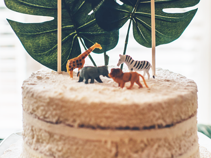 Safari Birthday Cake