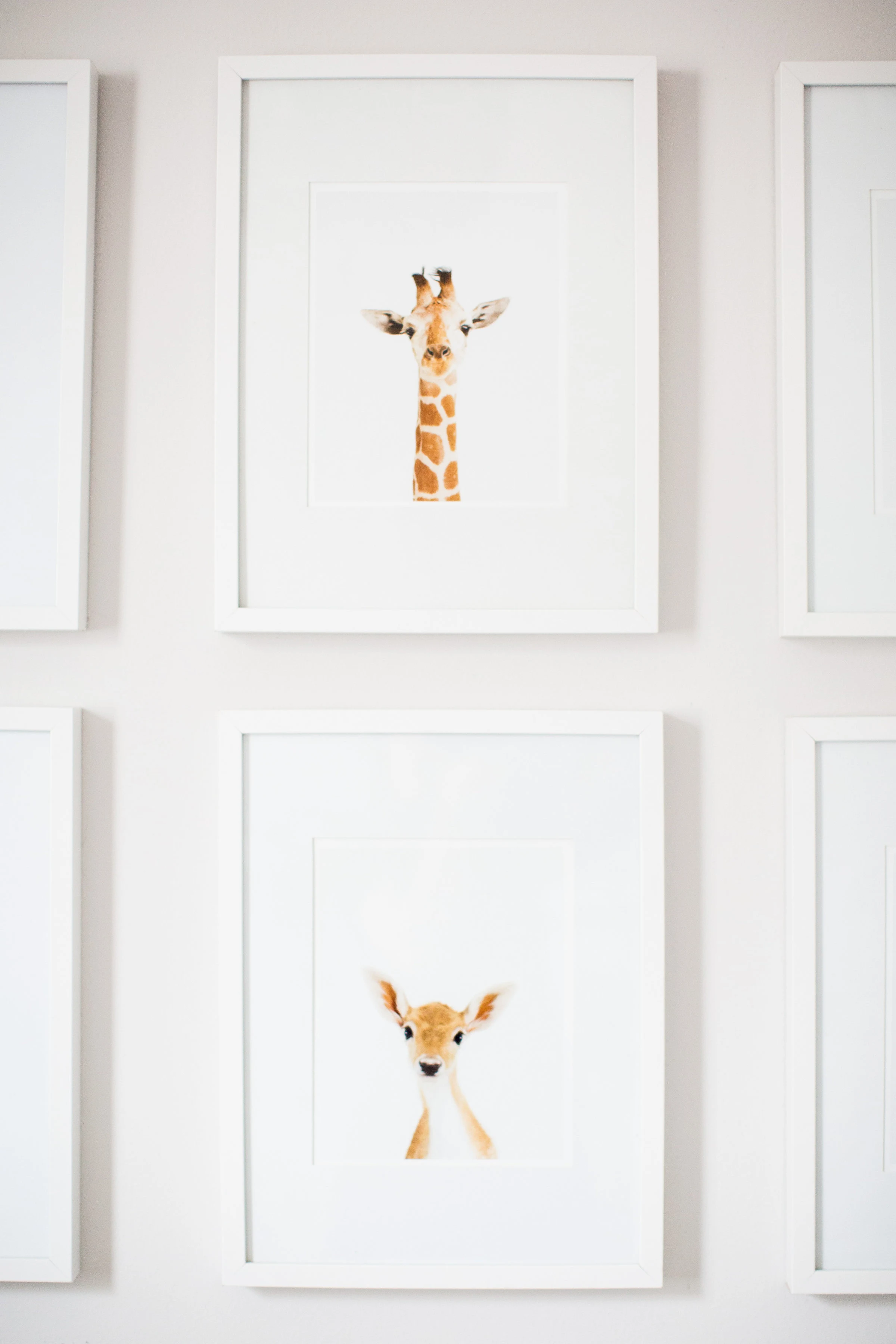Safari-Inspired Nursery with Gender-Neutral Decor and Animal Accents