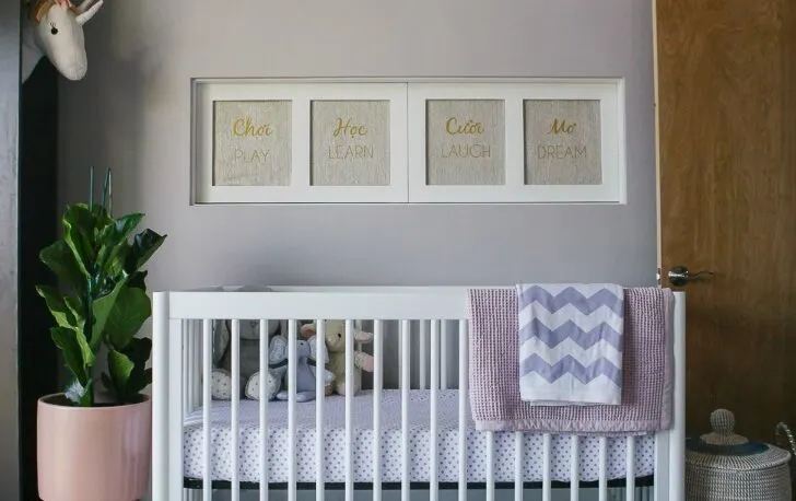 Pink and Blue Girls Nursery with Pink Planter in the Nursery - Project Nursery