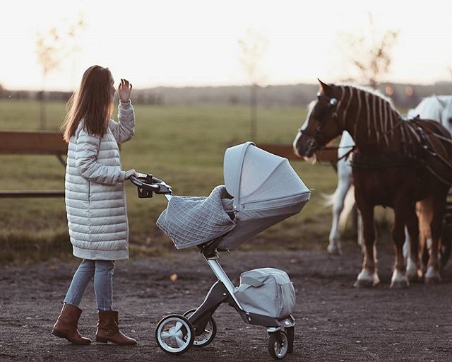 Stokke Xplory Stroller