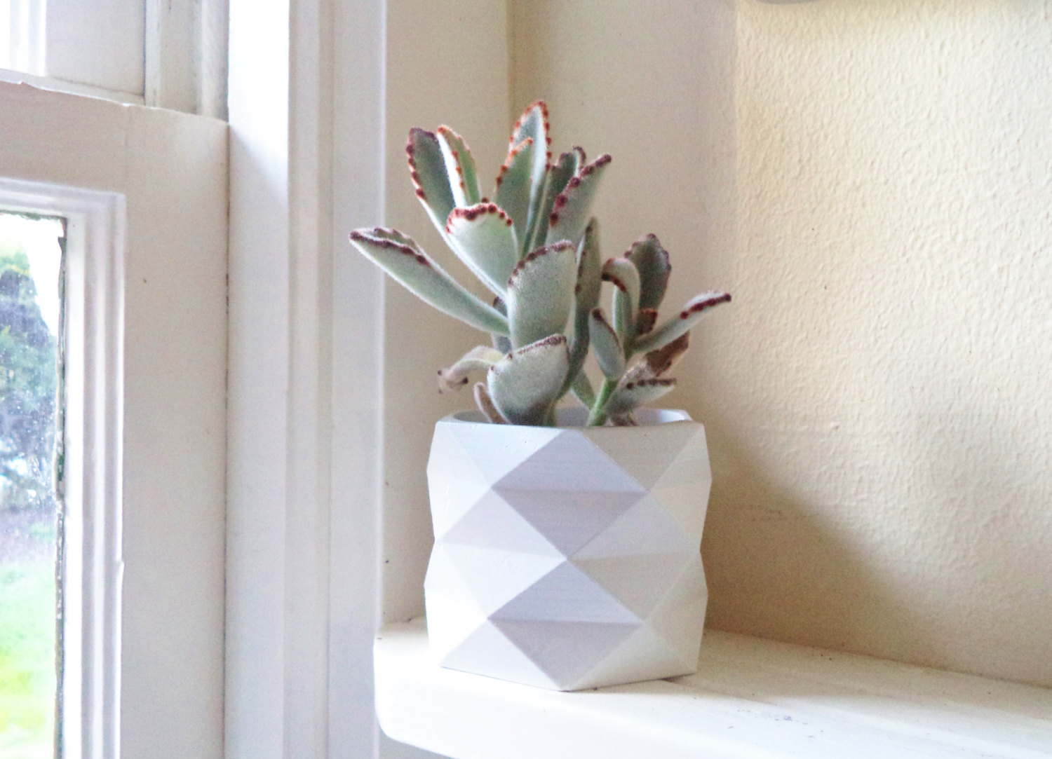 Geometric Succulent Planter from Redwood Stoneworks on Etsy