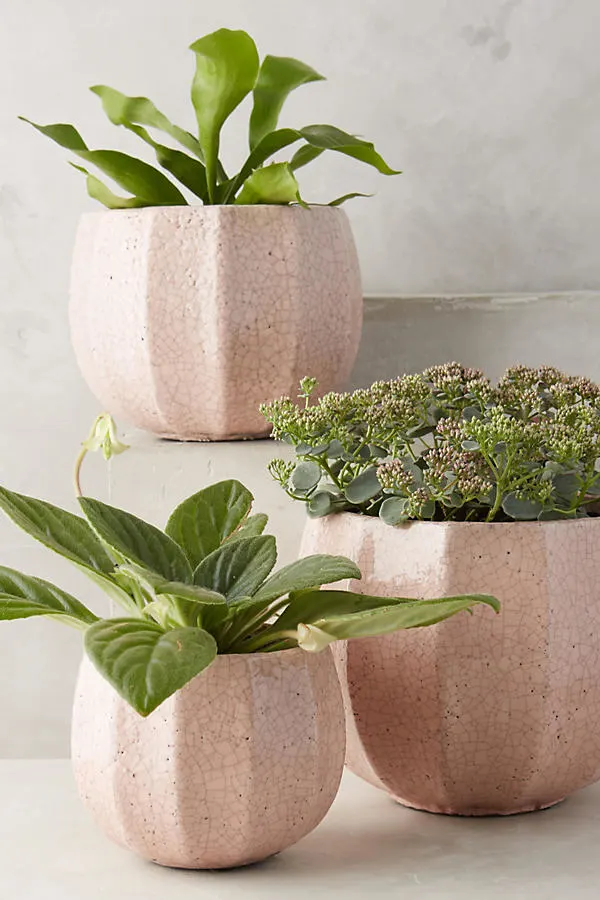 Pink Terracotta Pot from Anthropologie