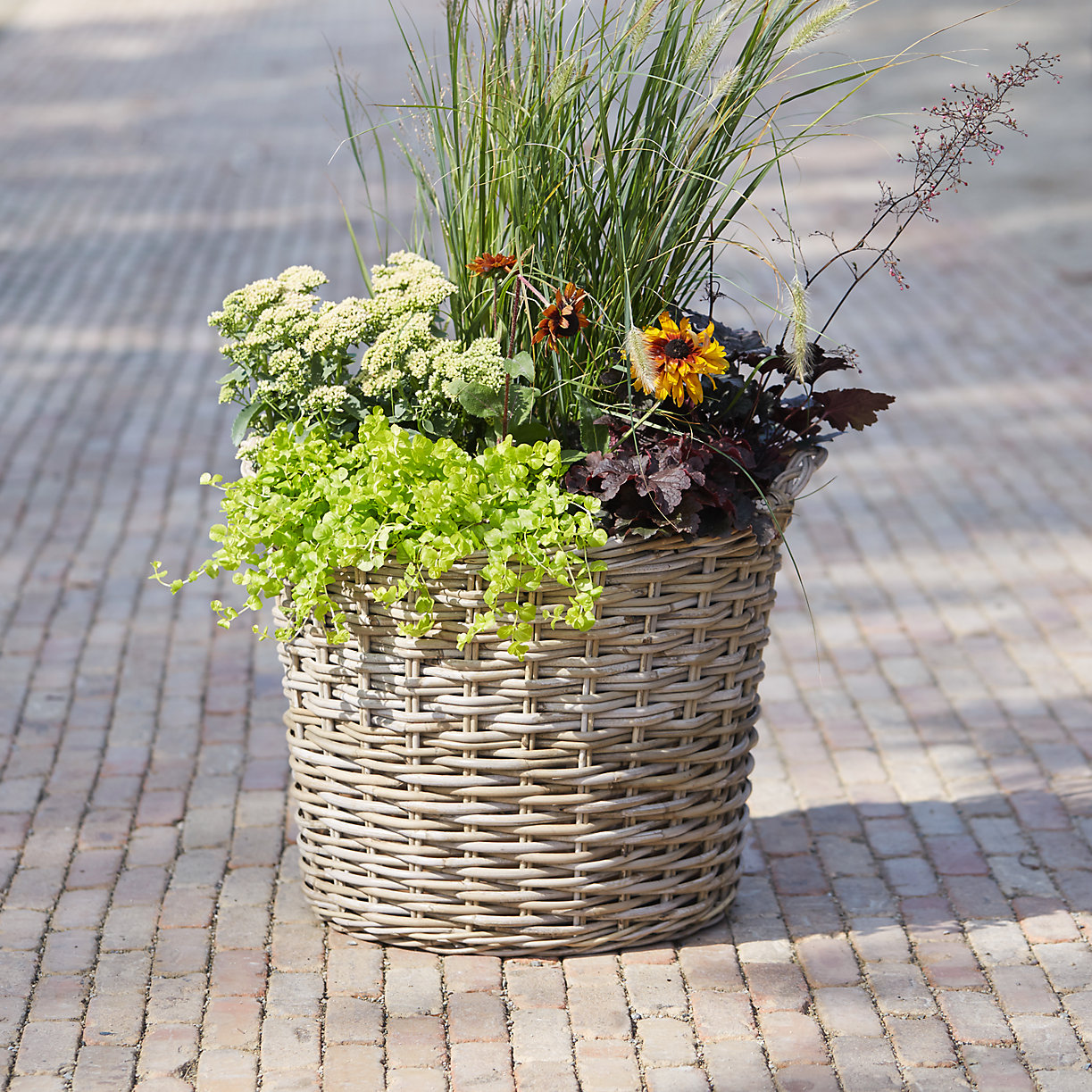 Woven Wicker Planter Basket from Terrain