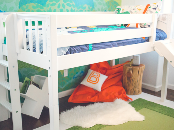 Dinosaur Modern Boy's Room