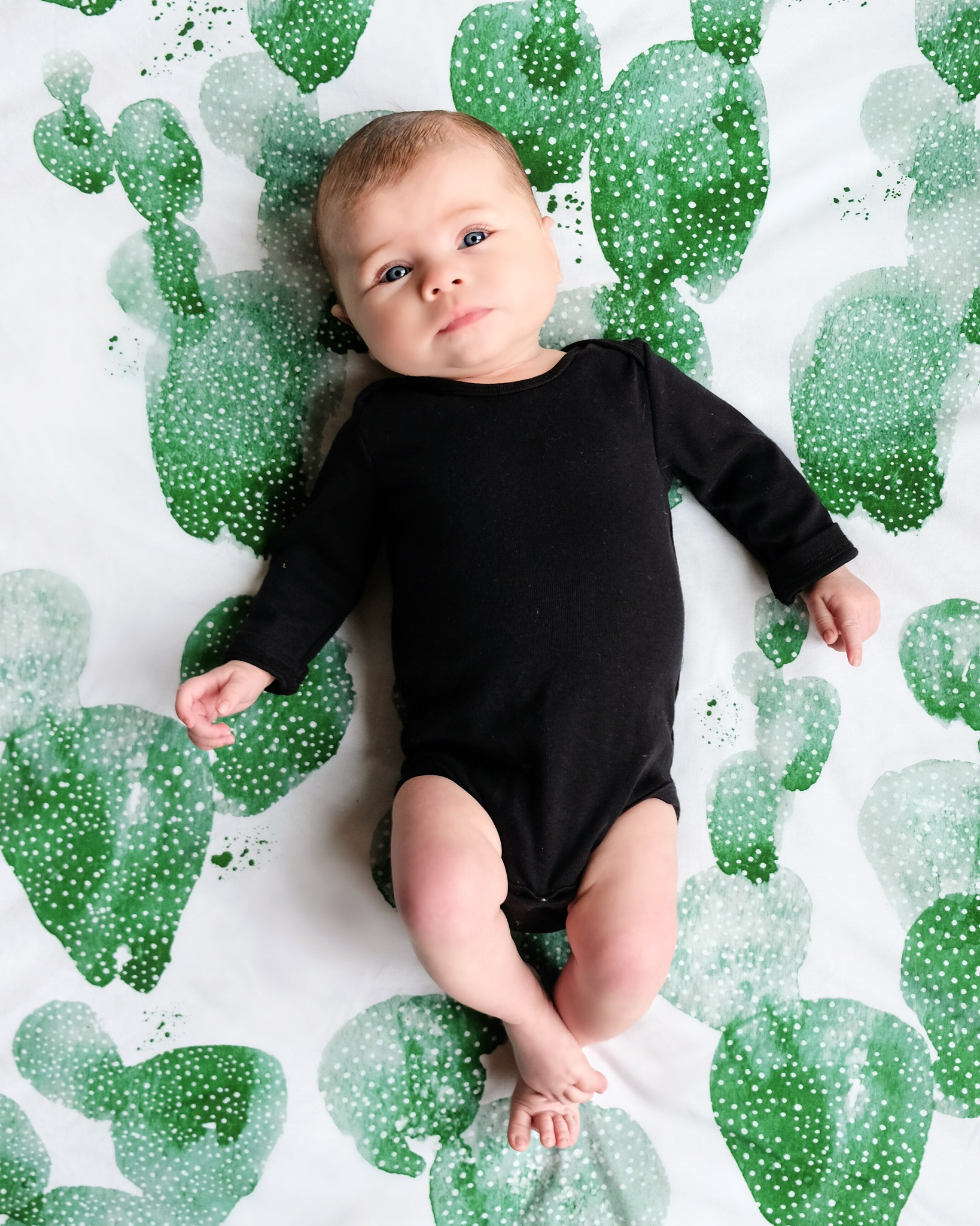 Cactus Organic Cotton Knit Crib Sheet from The Project Nursery Shop