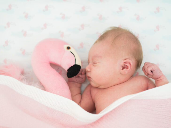 Flamingo Inspired Nursery