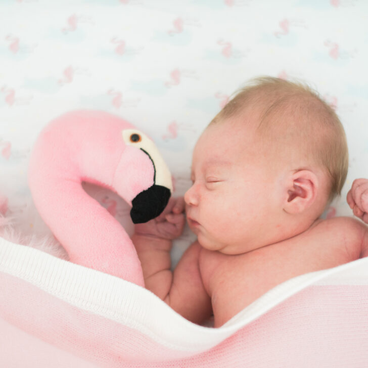 Flamingo Inspired Nursery