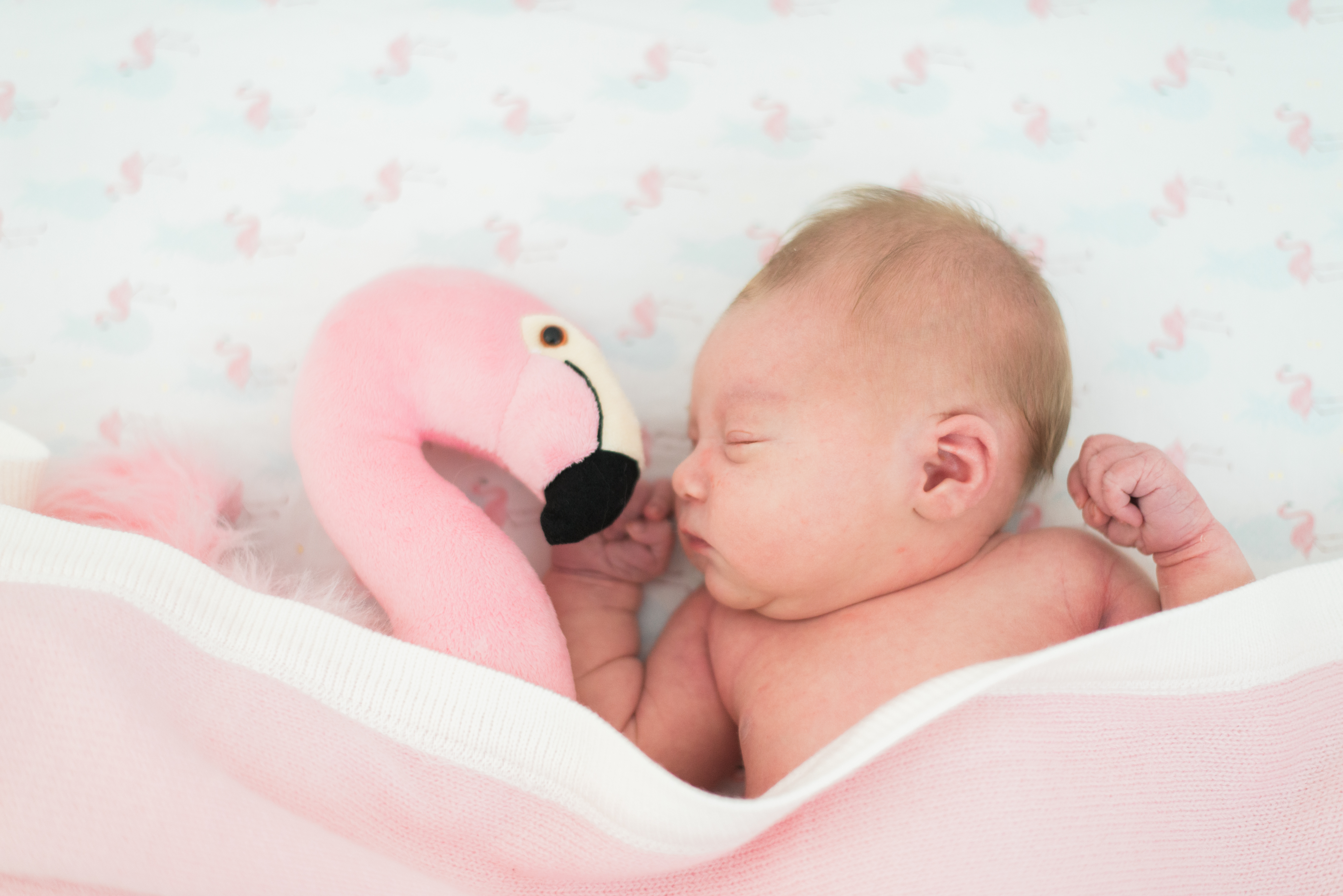 flamingo themed baby room