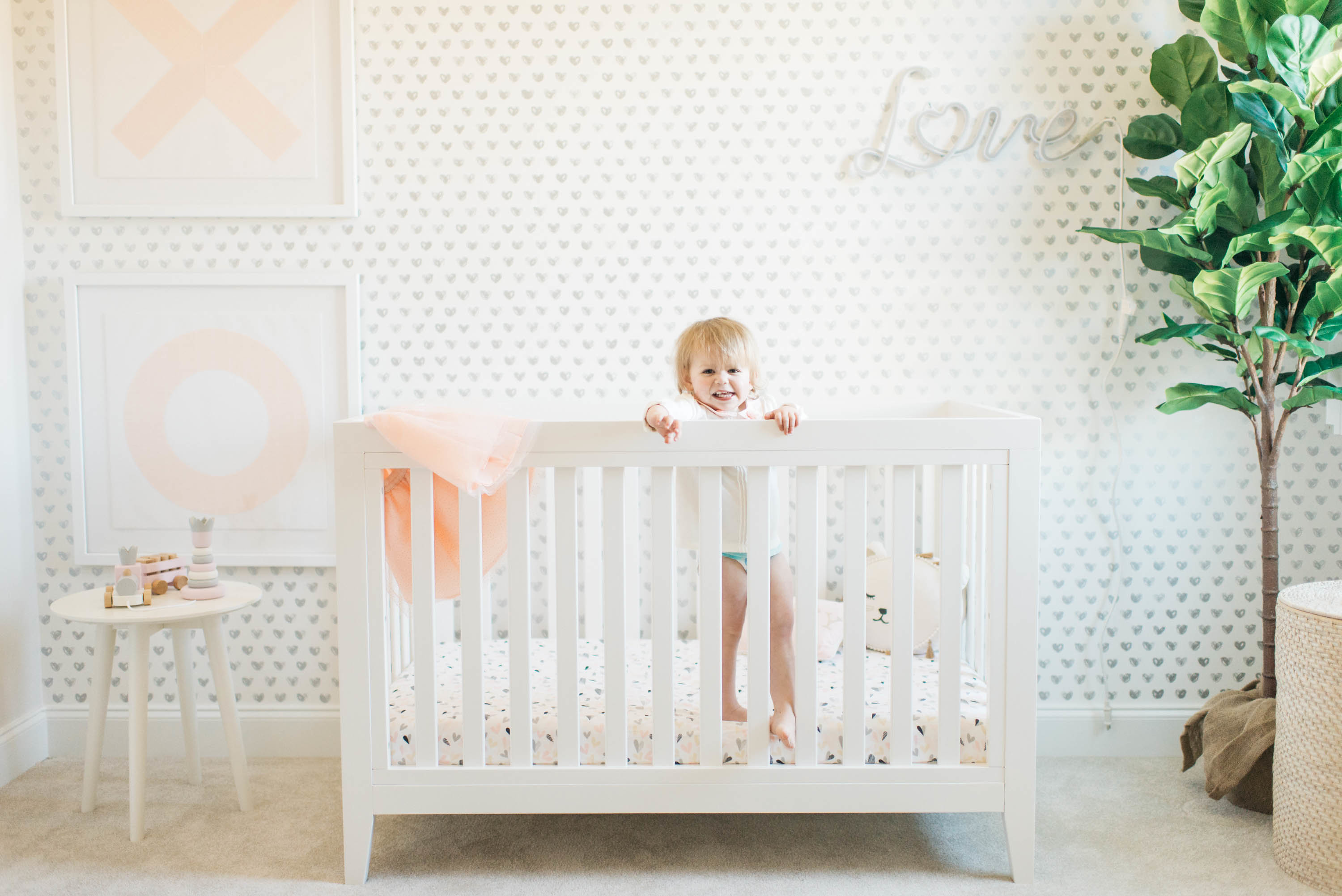 Pink, Gray and White Girl's Nursery