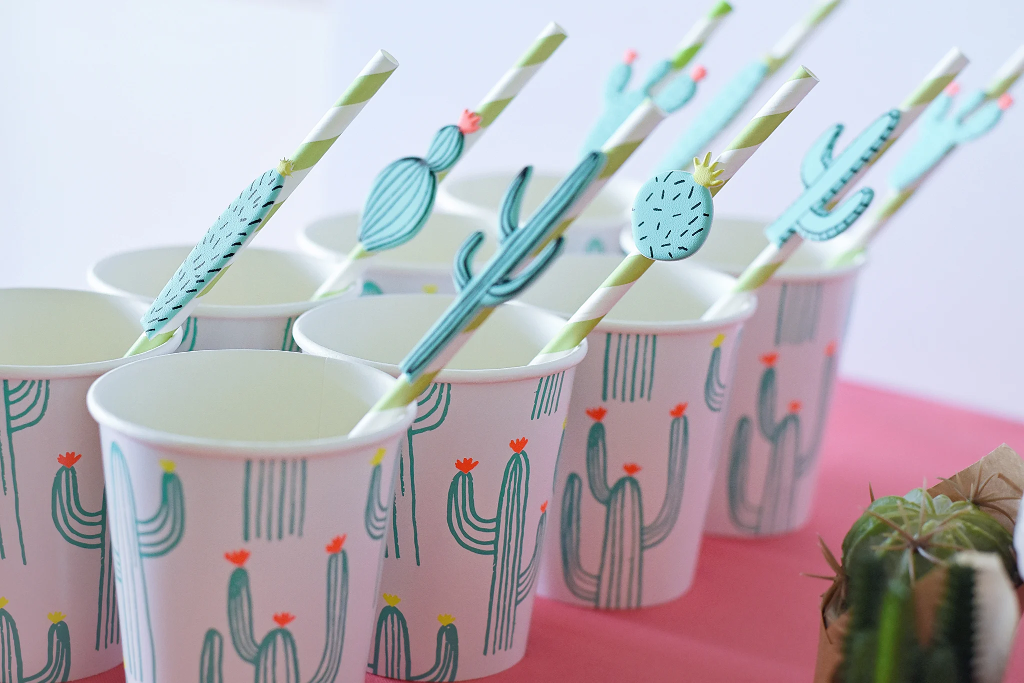 Meri Meri Cactus Cups and Straw Stickers - Project Nursery