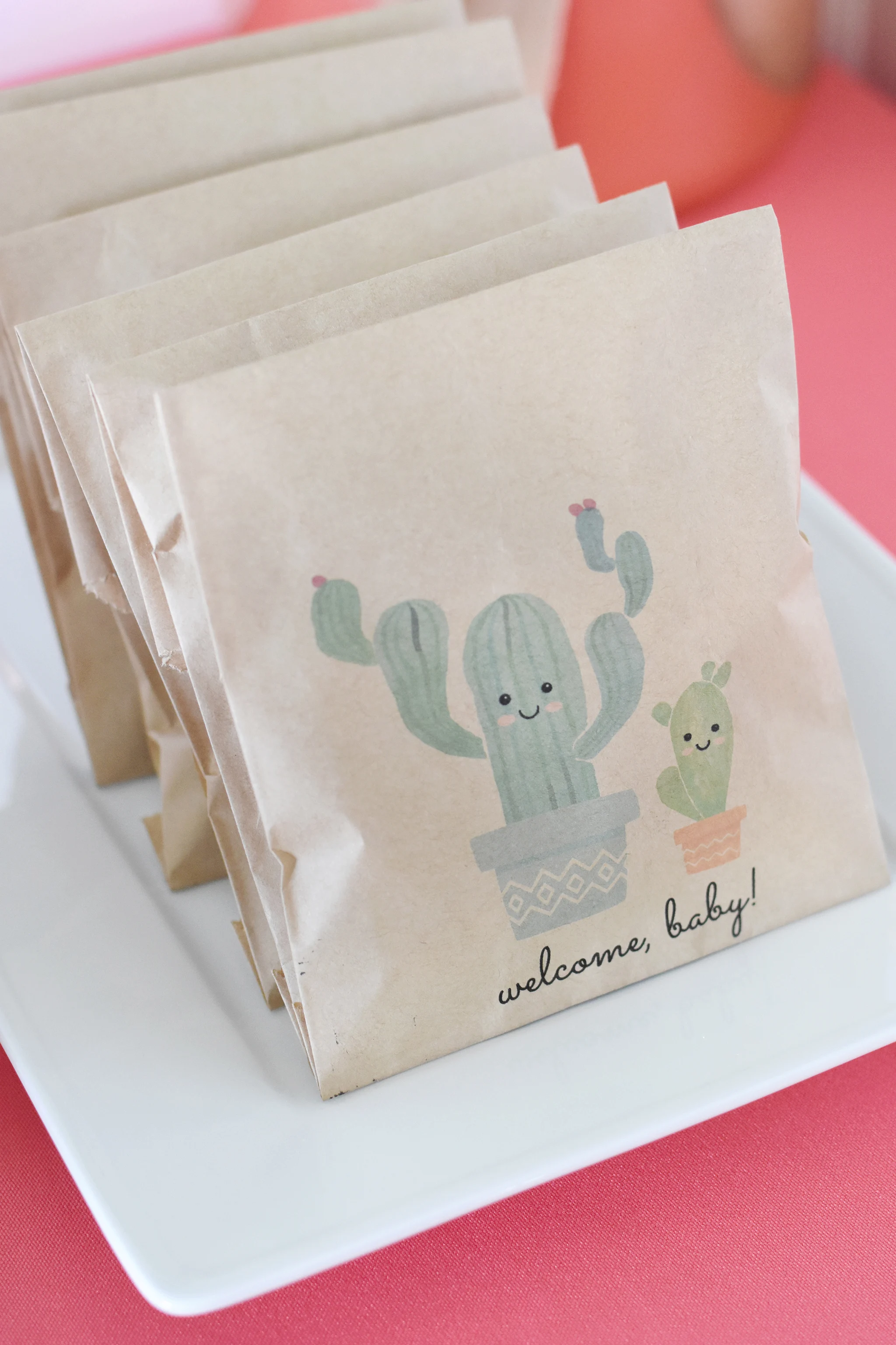 Cactus Baby Shower Goodie Bags - Project Nursery