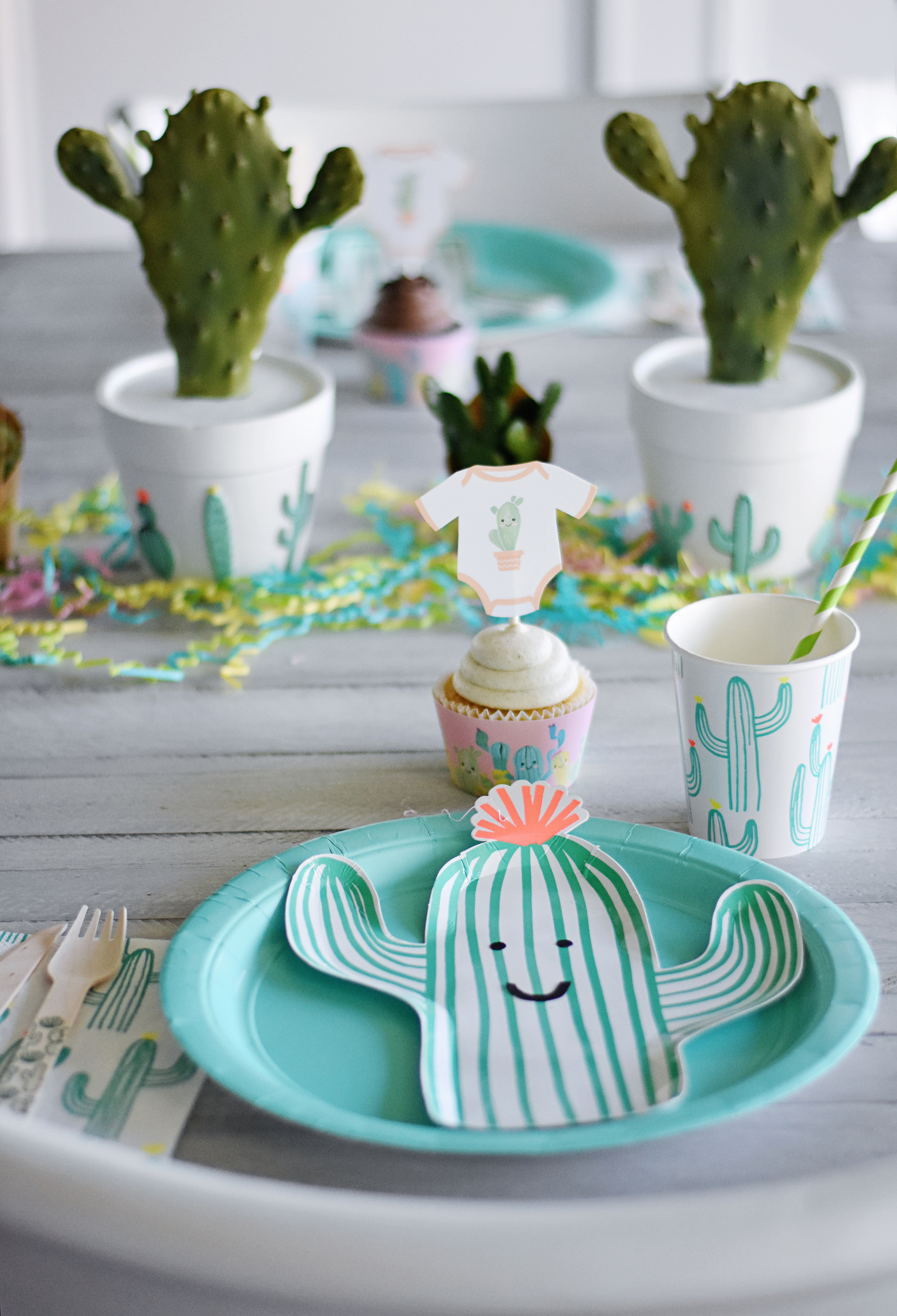 Cactus decorations hot sale for baby shower