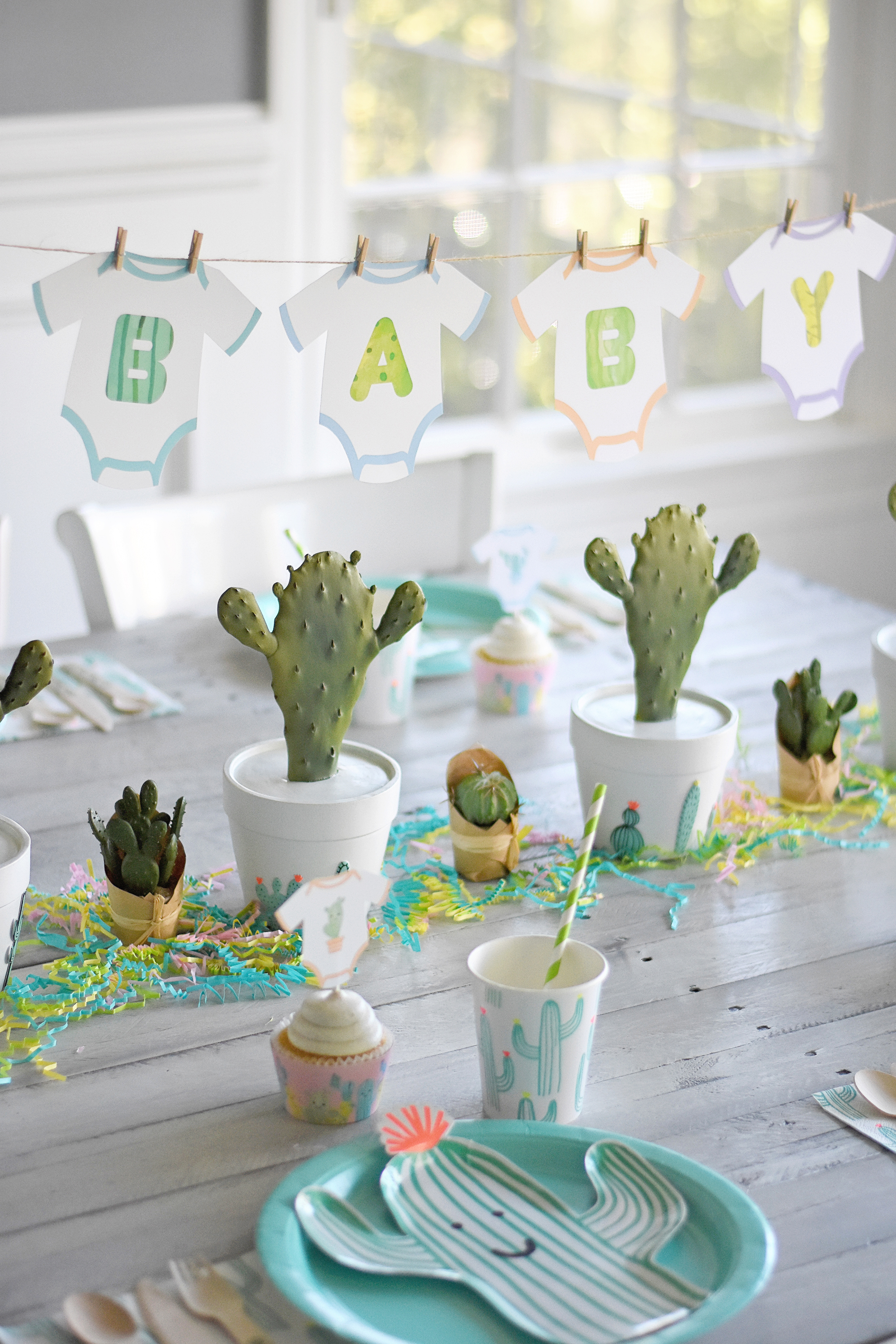 cactus baby boy shower invitations