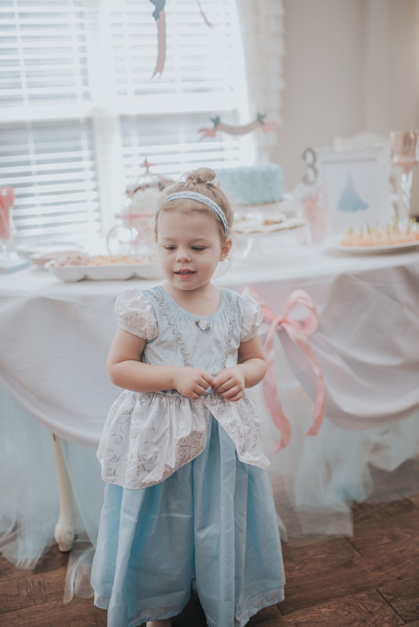 Ava's Cinderella 3rd Birthday - Project Nursery