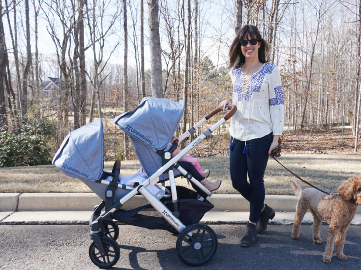 UPPAbaby VISTA Double Stroller